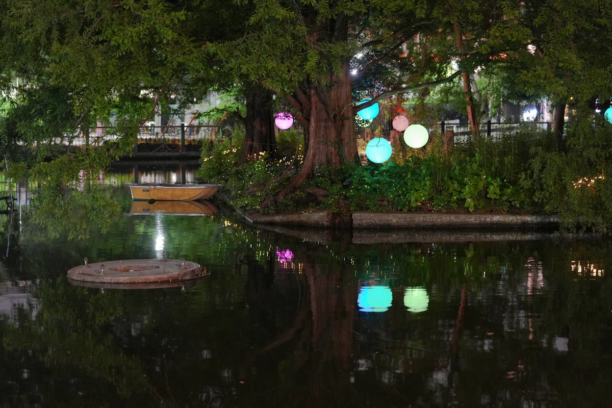 Hello3755221's tweet photo. 大宮公園 でイベント
「七夕TANABATA - 大宮の天の川 -」
が開催されているので散策してきました

白鳥池が飾り付けられていました
また画像にはないですが水上のモニターで映像を流していました
竹の灯籠の道「竹灯篭の杜」なども綺麗でした
※白鳥池付近の画像です
#大宮公園 #七夕 https://t.co/PfSMZJKYdn