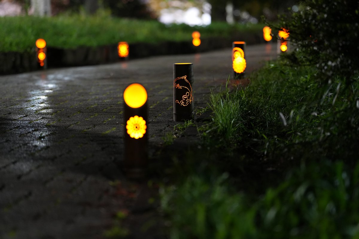 Hello3755221's tweet photo. 大宮公園 でイベント
「七夕TANABATA - 大宮の天の川 -」
が開催されているので散策してきました

白鳥池が飾り付けられていました
また画像にはないですが水上のモニターで映像を流していました
竹の灯籠の道「竹灯篭の杜」なども綺麗でした
※白鳥池付近の画像です
#大宮公園 #七夕 https://t.co/PfSMZJKYdn