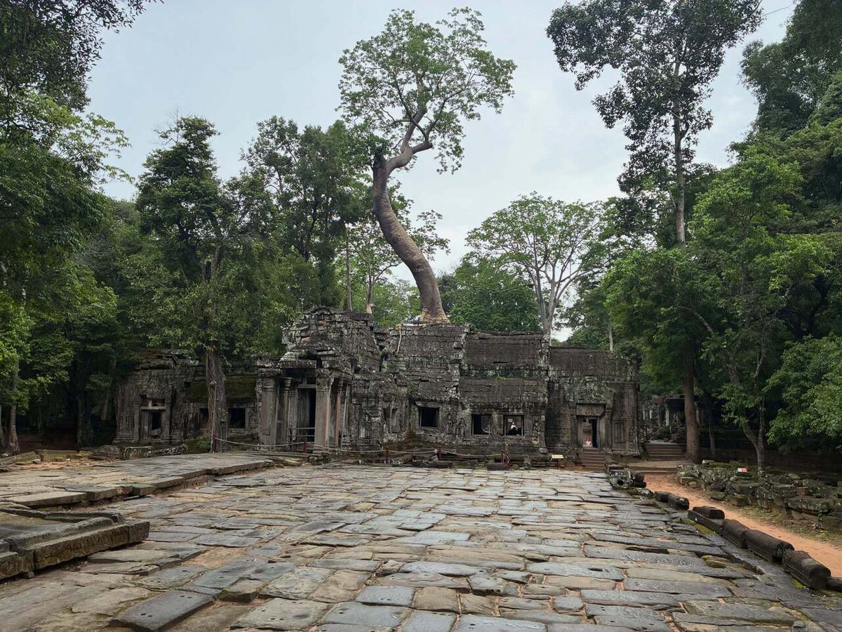FaunoBastard's tweet photo. 🇰🇭 La vida se abre camino…
✅🌏🤦🏼♀️❌
#SMPC #Travel https://t.co/qpShB1UgyQ