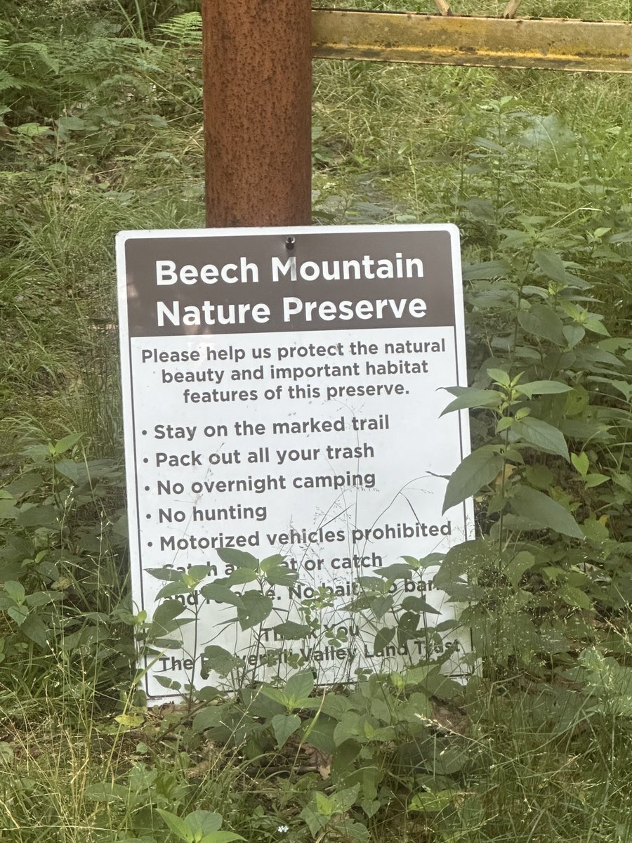 Catamount05Mark's tweet photo. Back at it yesterday.  Fun hike on Beech Mountain, highpoint of Sullivan County, New York.  Elevation 3,117 feet.  About 2/3 of it was a regular trail hike.  The final few hundred feet in elevation was a pretty straightforward bushwhack. 🏔️🥾 https://t.co/x2dAoJjARs