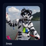 Photo by Zoopy *Barcode boop* Zo (@Barcode_Cat)