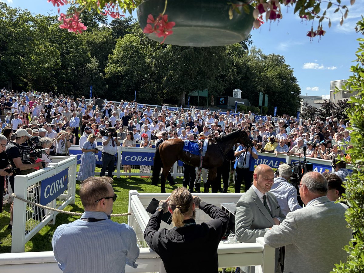 Smido11's tweet photo. Decent animal. 
🐎 https://t.co/deeHobdac1