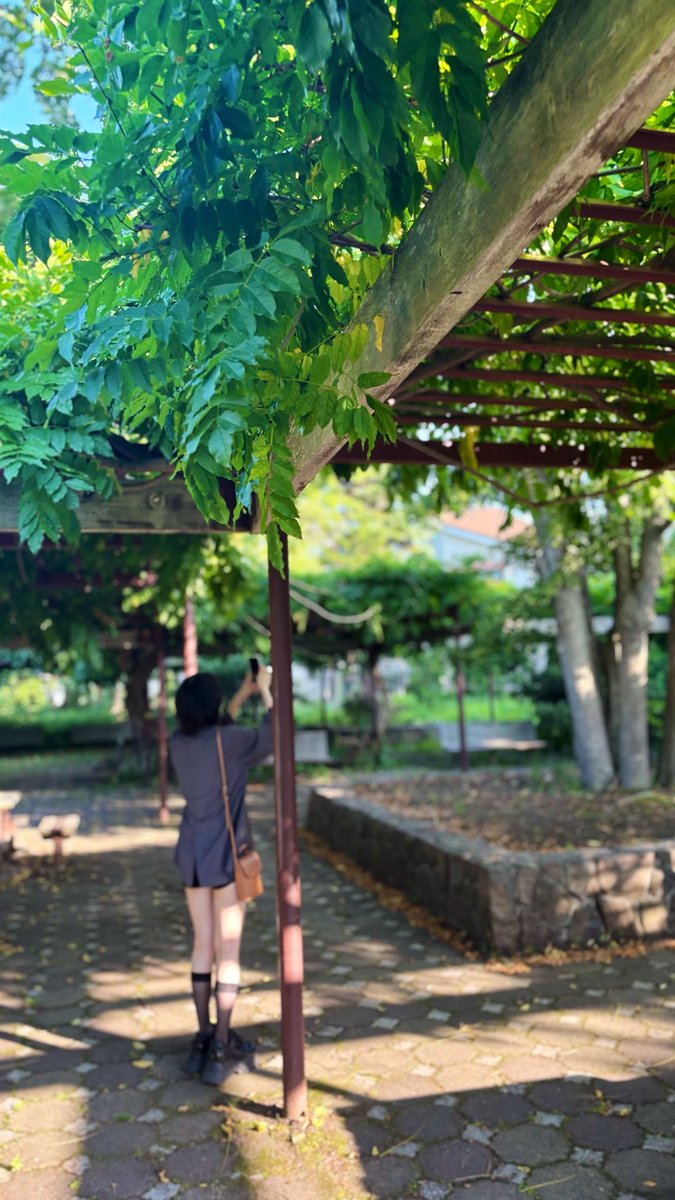 Qf2uX's tweet photo. ゆずさんと公園行ってきた⛲️
夏の花がたくさん咲いてていい匂いした🪻
いつも家で引きこもってたからリラックスできた☘️🍃🌺
虫とか鳥とかたくさんいたけど蚊に刺されてた人いた🤔
1日あっという間すぎた… https://t.co/Z94UYle9aU