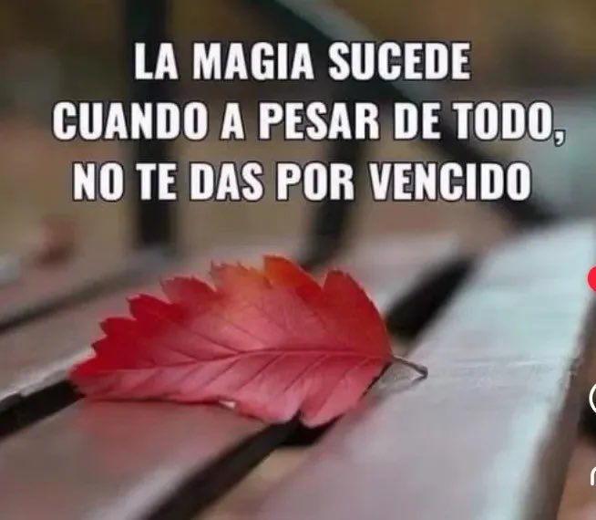 LQuino47372's tweet photo. https://t.co/pEebOUFqSt