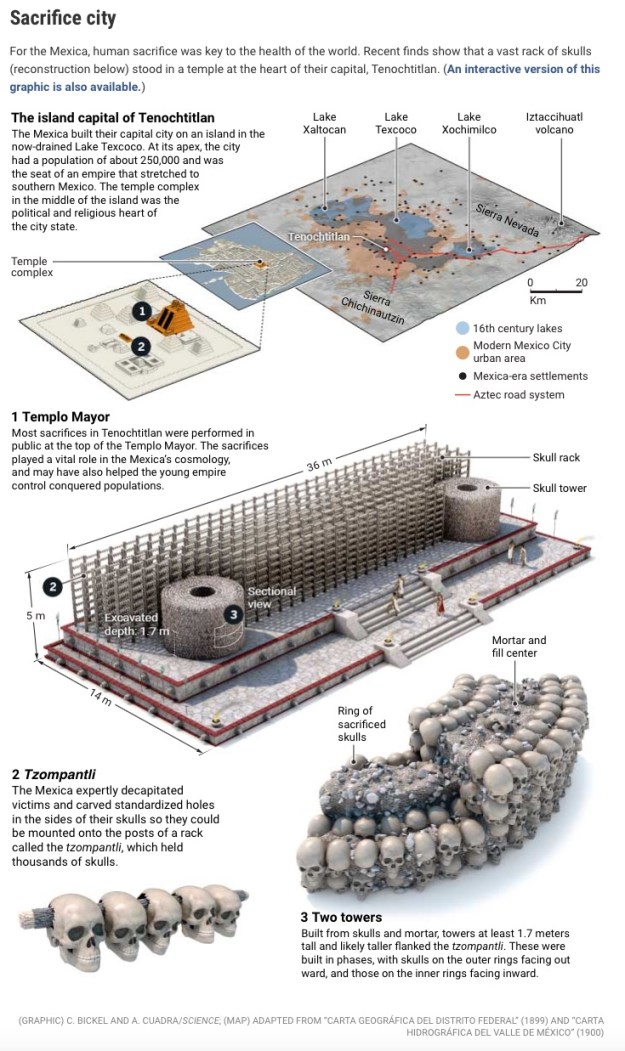 big_emtee's tweet photo. When the Europeans arrived there were so many human sacrifices being performed they were running out of places to put the skulls. https://t.co/F9aOrzgY5k