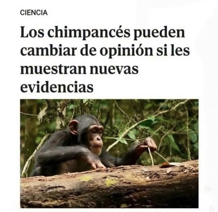 ErestuFaloon's tweet photo. Chimpancés: 1 
Votantes de Kast: 0 https://t.co/7ixKlACdxz