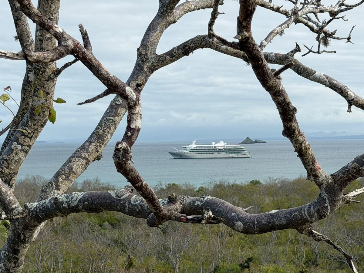 TereRodriguezTV's tweet photo. So blessed to witness nature at its best with @AllanLeviMD (my better half) - our visit to the #Galapagos aboard the @Silversea #SilverOrigin - A MUST SEE experience…from the blue-footed booby birds to the frolicking sea lions - just breathtaking. https://t.co/hs5j79r1yk