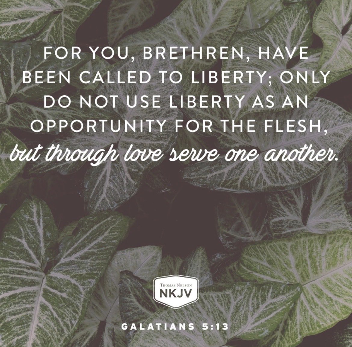 CalvarySahuarit's tweet photo. #CalvaryChapel #CalvaryChapelSahuarita
#CCOS #Bible #WordOfGod #AbsoluteTruth
#FinalAuthority https://t.co/DtmhRpUWVs