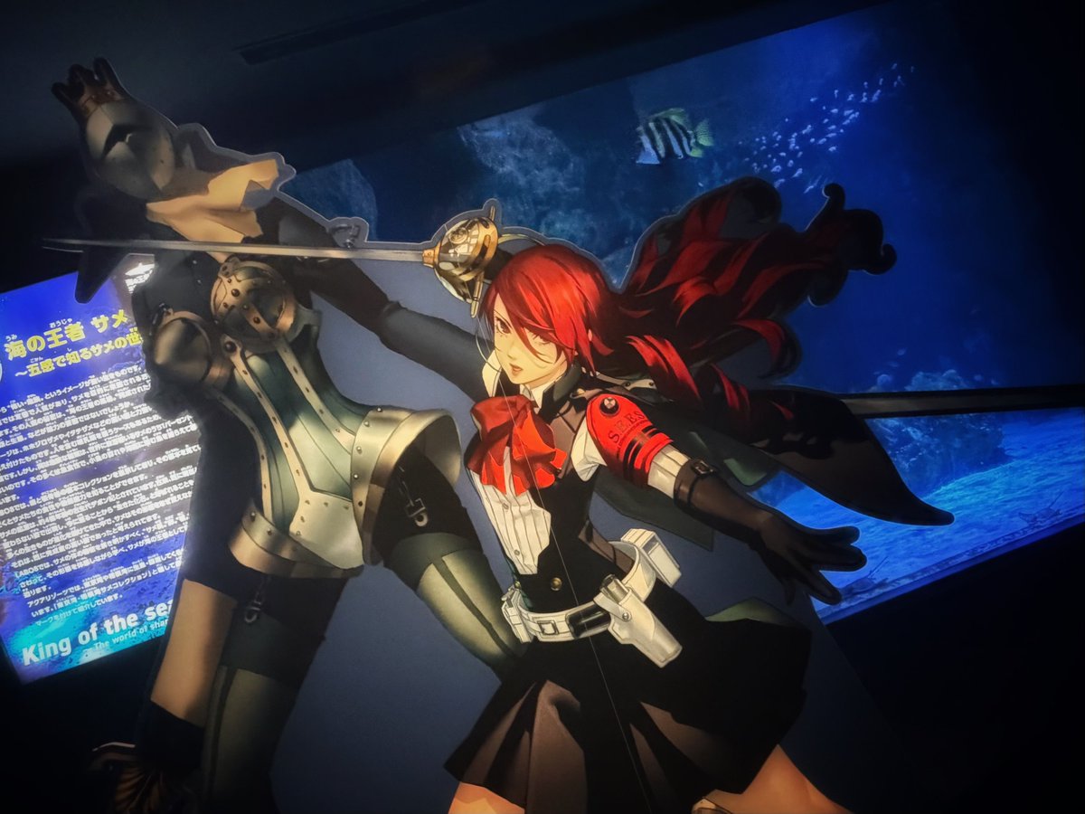 seaparadise_ag's tweet photo. #P30th #シーパラ 
https://t.co/QRf03vjz6z https://t.co/UYlXkRXxBH