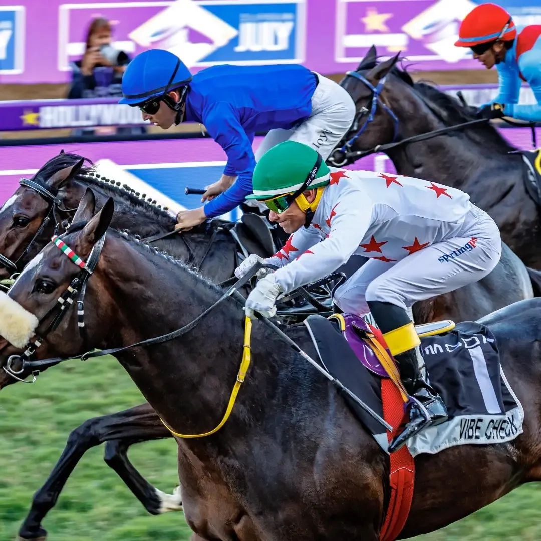 SABC3's tweet photo. Horse #1 crossed the finish line in style! 🎉
Was your bet a winner, or are you backing another race? Let us know in the comments! 👇🔥
#DurbanJuly #HiveEnergy #S3 #BTSExperience https://t.co/fYa5Yk8msY