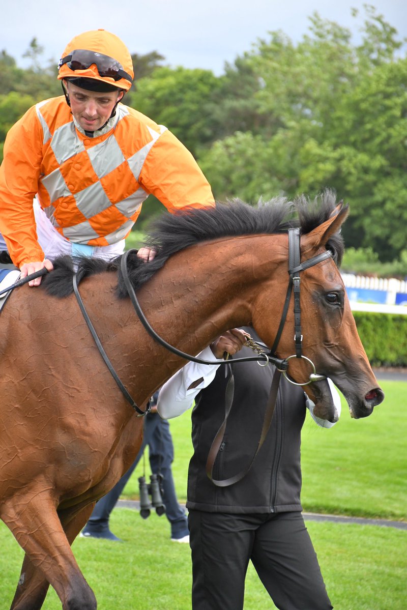 PCequinephoto's tweet photo. Dancing Destiny trained by @JosephOBrien2 is a winner @NaasRacecourse 4/7/26 @IrishRacing7 https://t.co/CmCbZgr7Vr