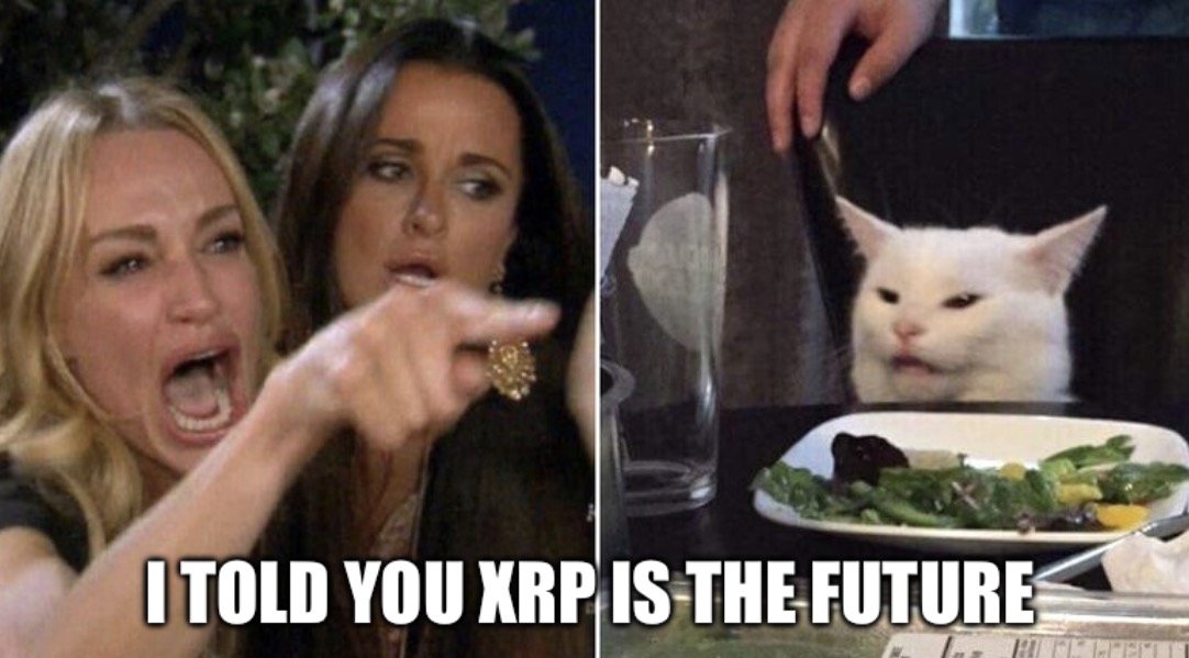 MemeMaster08 tweet picture