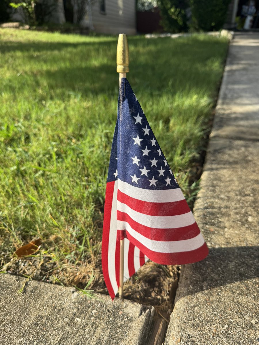 Legobro's tweet photo. Celebrating 250 🇺🇸 on this #ForthofJuly https://t.co/nnTAgyTlzj