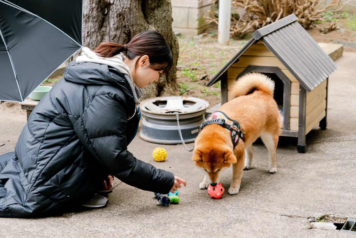 a__k0213's tweet photo. 動物好きな架純ちゃん🐶🐱♡
#有村架純 https://t.co/pmiOuUOTbX