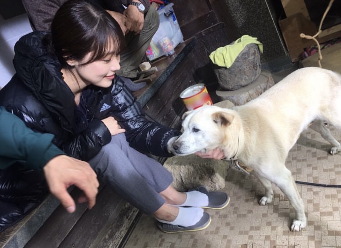 a__k0213's tweet photo. 動物好きな架純ちゃん🐶🐱♡
#有村架純 https://t.co/pmiOuUOTbX
