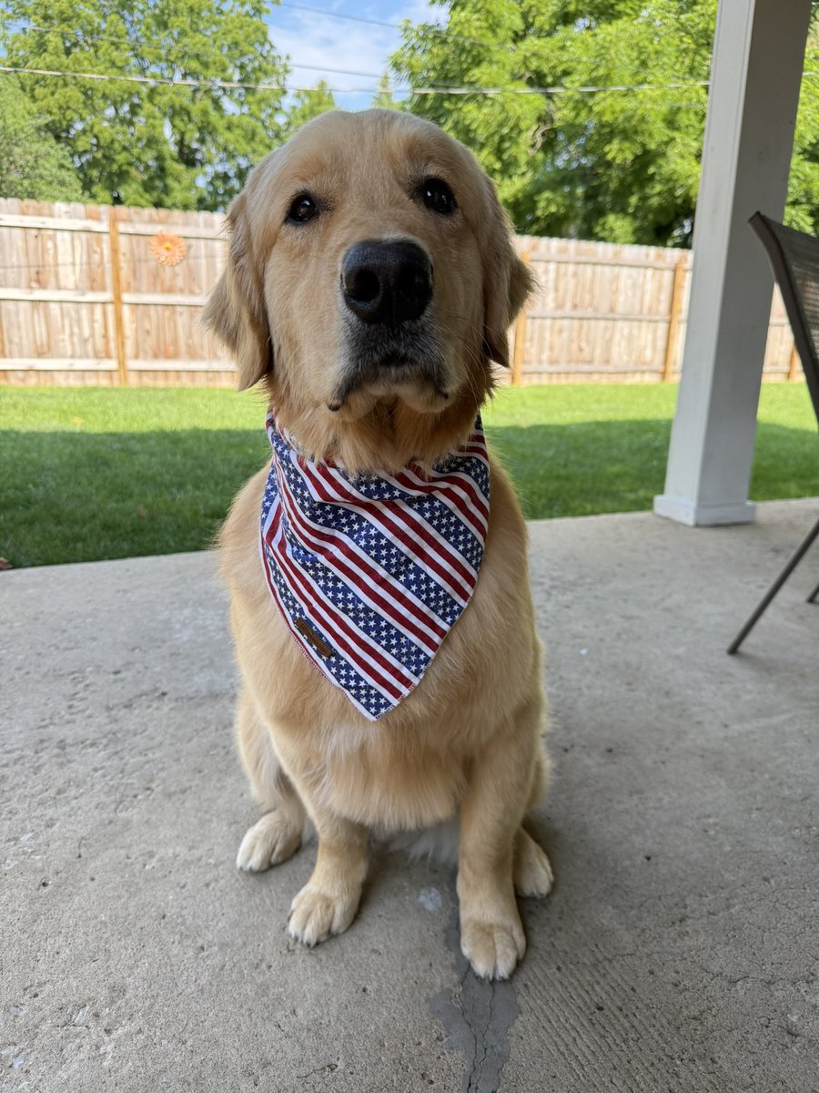 realCraiGo574's tweet photo. Happy Independence Day!🇺🇸 https://t.co/Fo3qJ29vzZ