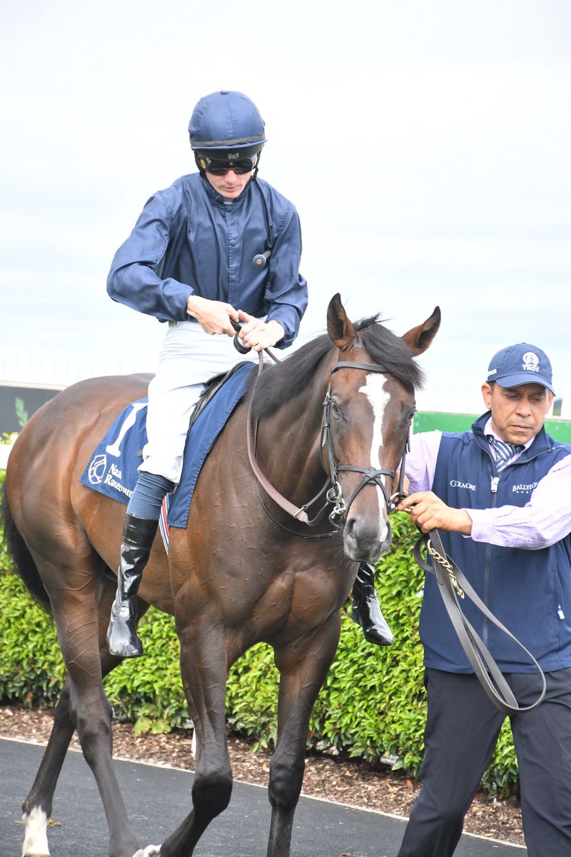 PCequinephoto's tweet photo. Florida Bay trained by Aidan O’Brien Naas 4/7/26 https://t.co/YN4cvo5B5G