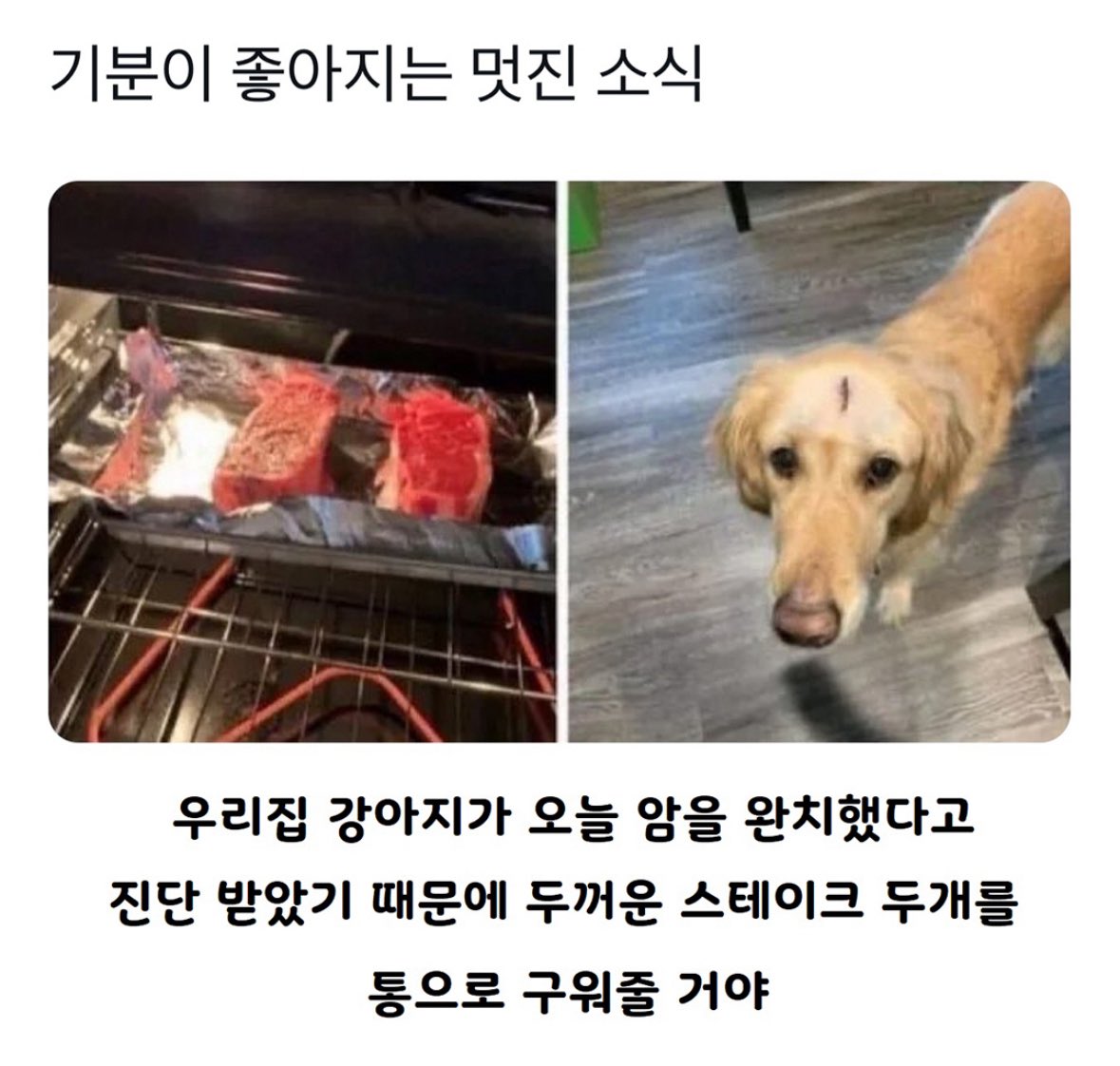 akzkfltm2's tweet photo. https://t.co/1FXIY3FWOF