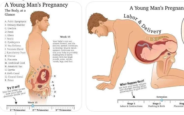 bttrflynyx's tweet photo. kalo beneran ada mpreg, lahirnya lewat silit apa titid yaa https://t.co/bjvDjtkt0T