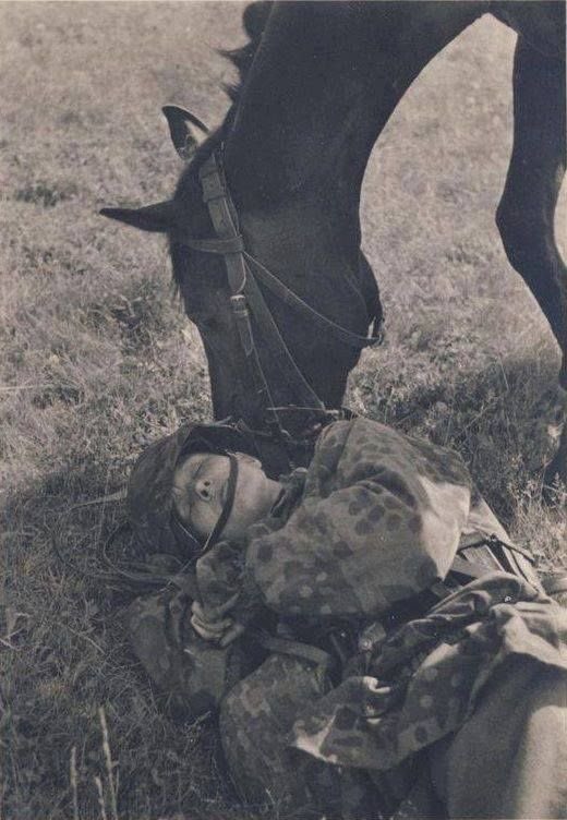 _theorycel's tweet photo. The last Scythians https://t.co/COULV4Niao