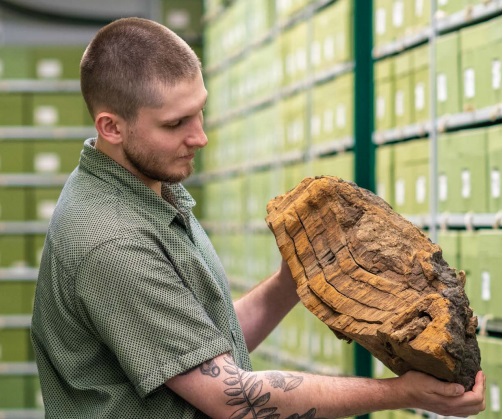 MongabayLatam's tweet photo. Un nuevo estudio elaborado por más de 400 científicos de 40 países revela cifras alarmantes sobre el peligro de extinción que enfrentan las especies de plantas y hongos. Pero también, que la IA puede ayudarlas. https://t.co/QBAeAsSWWw https://t.co/4q3Dr493Z1
