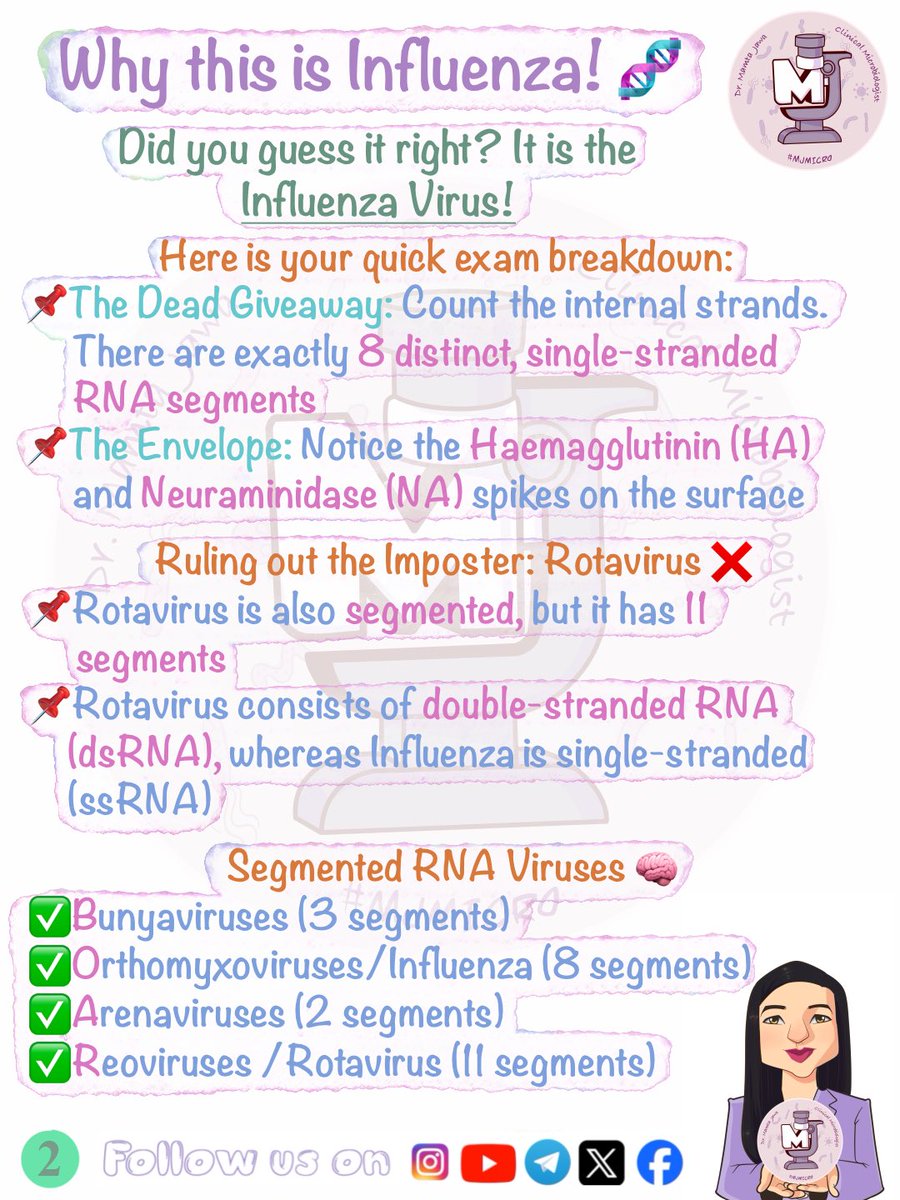 MJ_MICRO's tweet photo. Snapshot Saturday ✅🧿
#MamtaJawa #MJMICRO #MedTwitter #MedX #MedTwt #microbiology #microtwitter #mbbs #neetpg #inicet #fmge #usmle https://t.co/ywzUMkTIuL