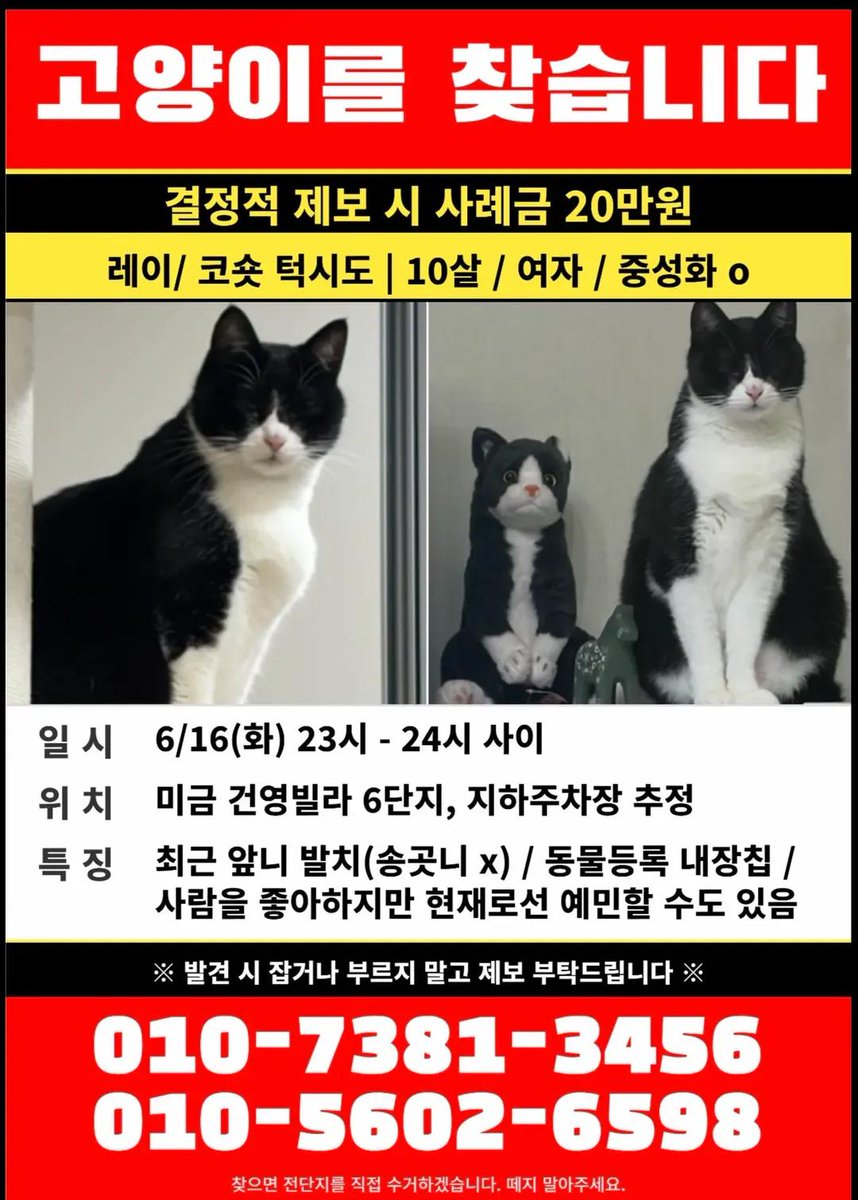 angelhouse1004's tweet photo. 경기 성남시 분당 미금역 건영빌라 근처 유실묘입니다
근방 사시거나, 출퇴근하시는 분들 주의깊게 봐주세요

https://t.co/XpglxszNBv https://t.co/0Cpqhx8czd