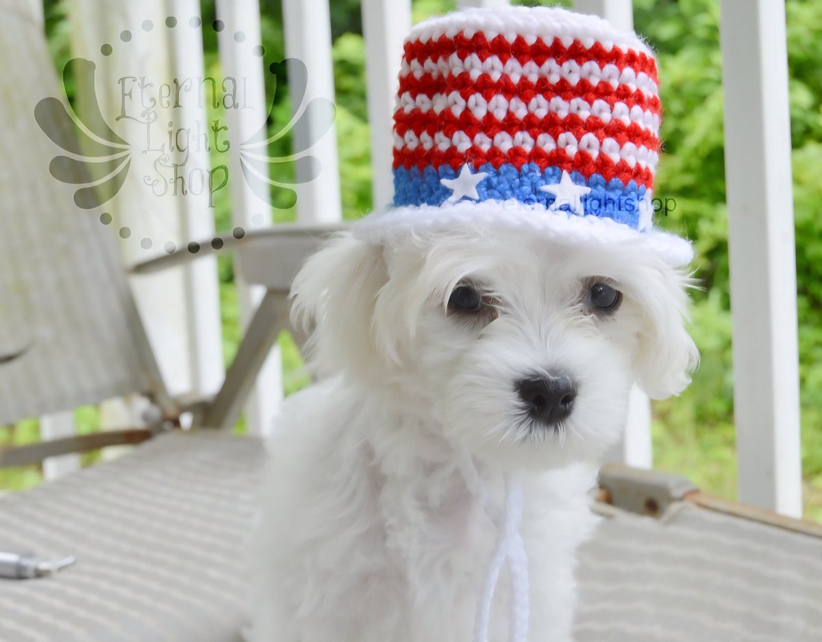 CillaMonsta's tweet photo. 🇺🇸🎉Happy 4th everyone! 🎉🇺🇸
https://t.co/OzU1s1EQBn 
#crochet #pet #hat #costume #america https://t.co/UJ71GLE38W
