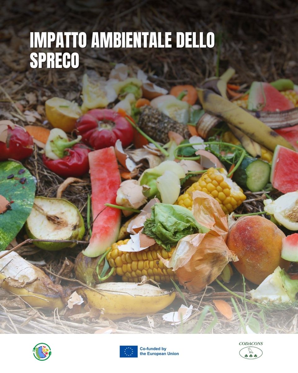 Codacons's tweet photo. Se il food waste fosse un Paese, sarebbe il terzo al mondo per emissioni.
Ridurre lo spreco = proteggere il pianeta.
#Bollino https://t.co/62Mw5J8pq5