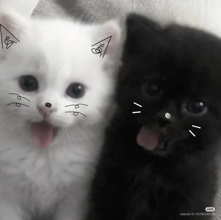 n_m_ru's tweet photo. 深夜RANK
#VALORANTmobile 
https://t.co/0HSpt4OOya https://t.co/gUEd1GHX1W