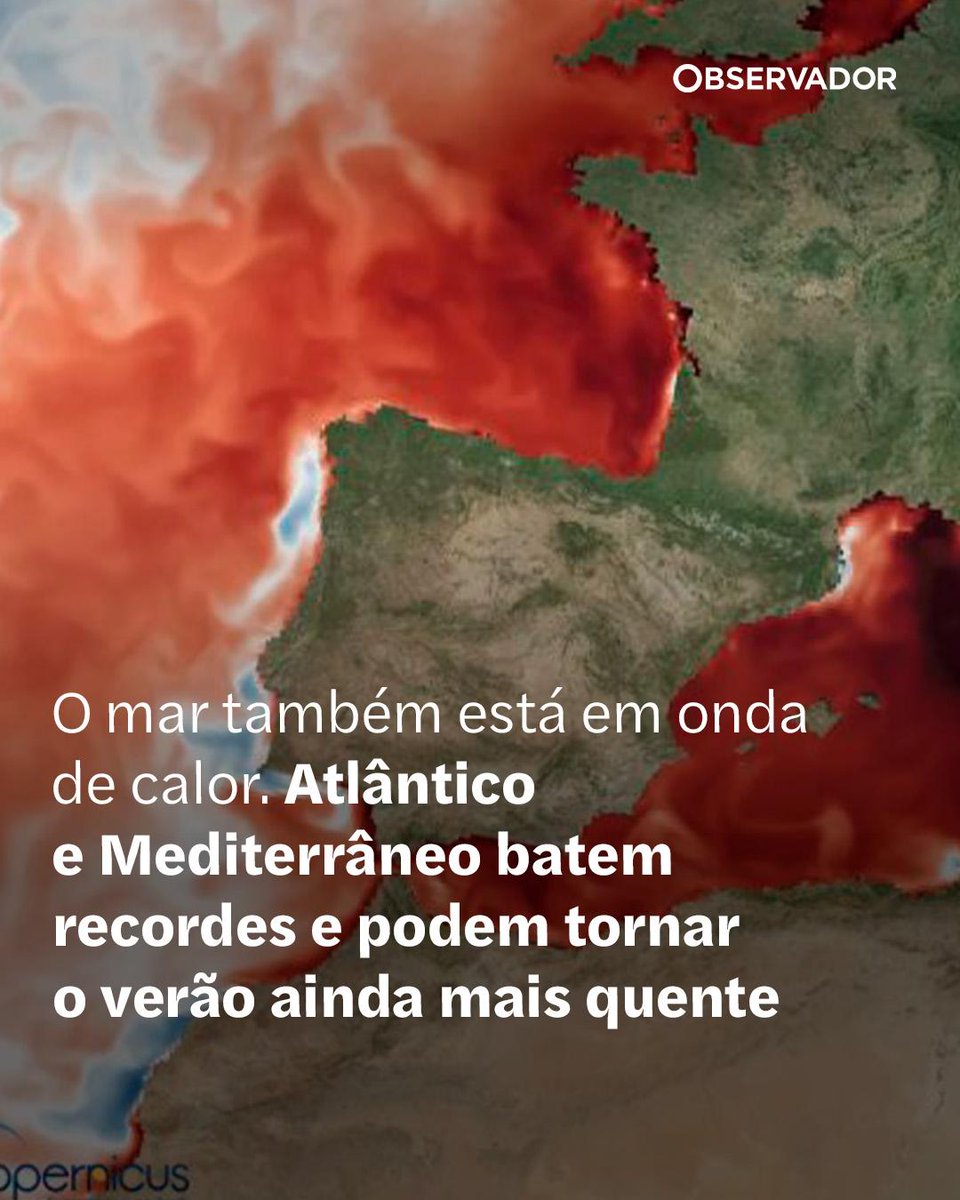 observadorpt's tweet photo. O Mediterrâneo tem zonas até 6ºC acima do normal e os oceanos bateram um novo recorde. Mais calor no mar significa noites mais quentes, mais humidade, tempestades mais intensas e mais "heat domes".

#AlteraçõesClimáticas #Oceanos #OndaDeCalor https://t.co/wVgV6pB6nB