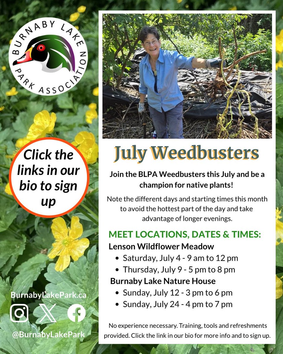 BurnabyLakePark's tweet photo. Be a champion for native species ! Join the BLPA Weedbusters this July 

Links for more info and to sign up 

https://t.co/fkV6pL6gCJ https://t.co/nfw50UA4RH