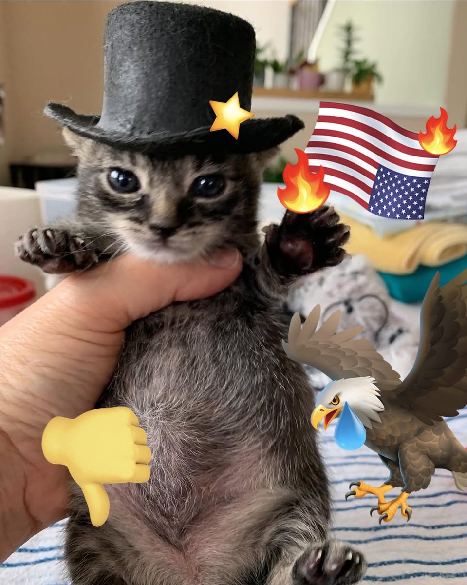 stickydacat's tweet photo. Uncle Sam says: holy fck how has it gotten this bad https://t.co/7KpxW6tzx4