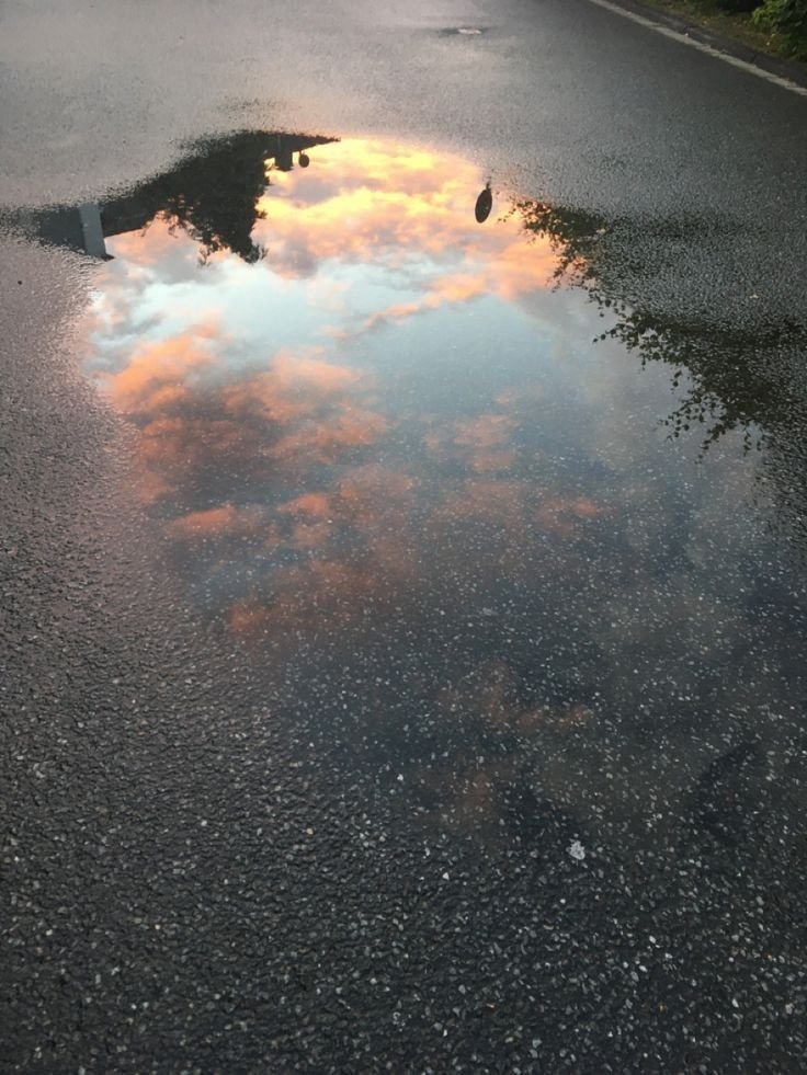 kooromi19's tweet photo. pieces of the sky https://t.co/kRuxtx57bt