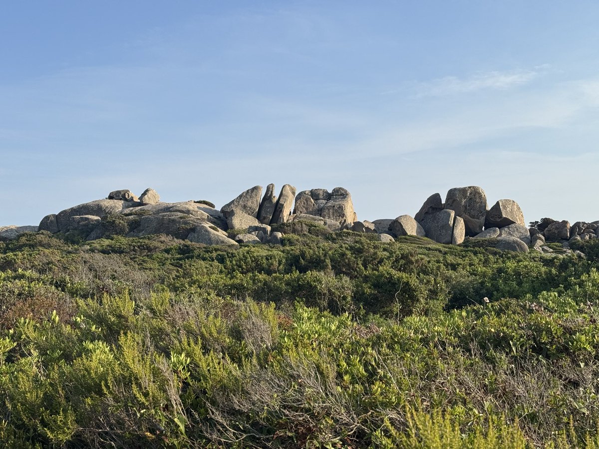 designmami's tweet photo. Bouldering by the sea in Corsica https://t.co/CMyBzhd7AH
