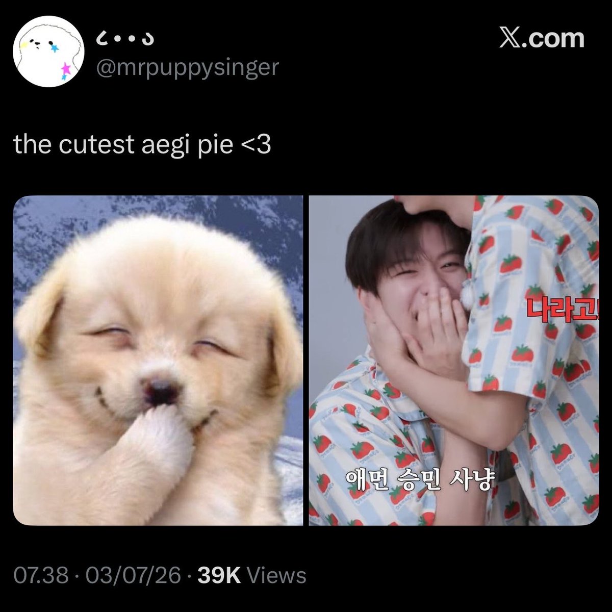mini2mino's tweet photo. Love to see puppy and kitty on my timeline https://t.co/4JKW66YrTh
