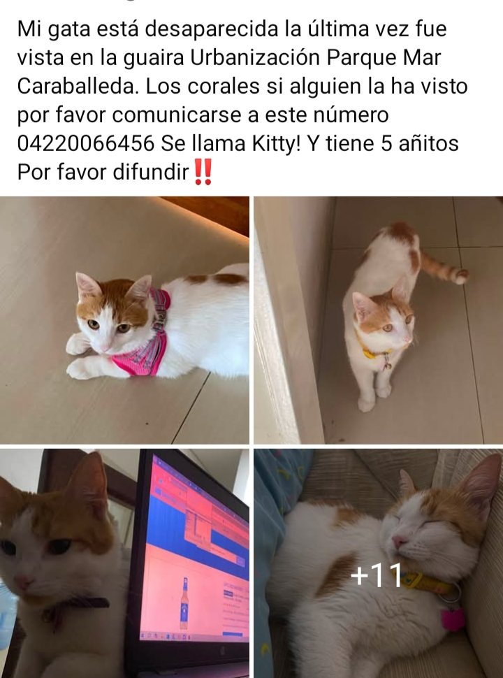 yaracalcagno's tweet photo. Atención Parque Mar Caraballeda Se busca. https://t.co/CMZRq6l9B4