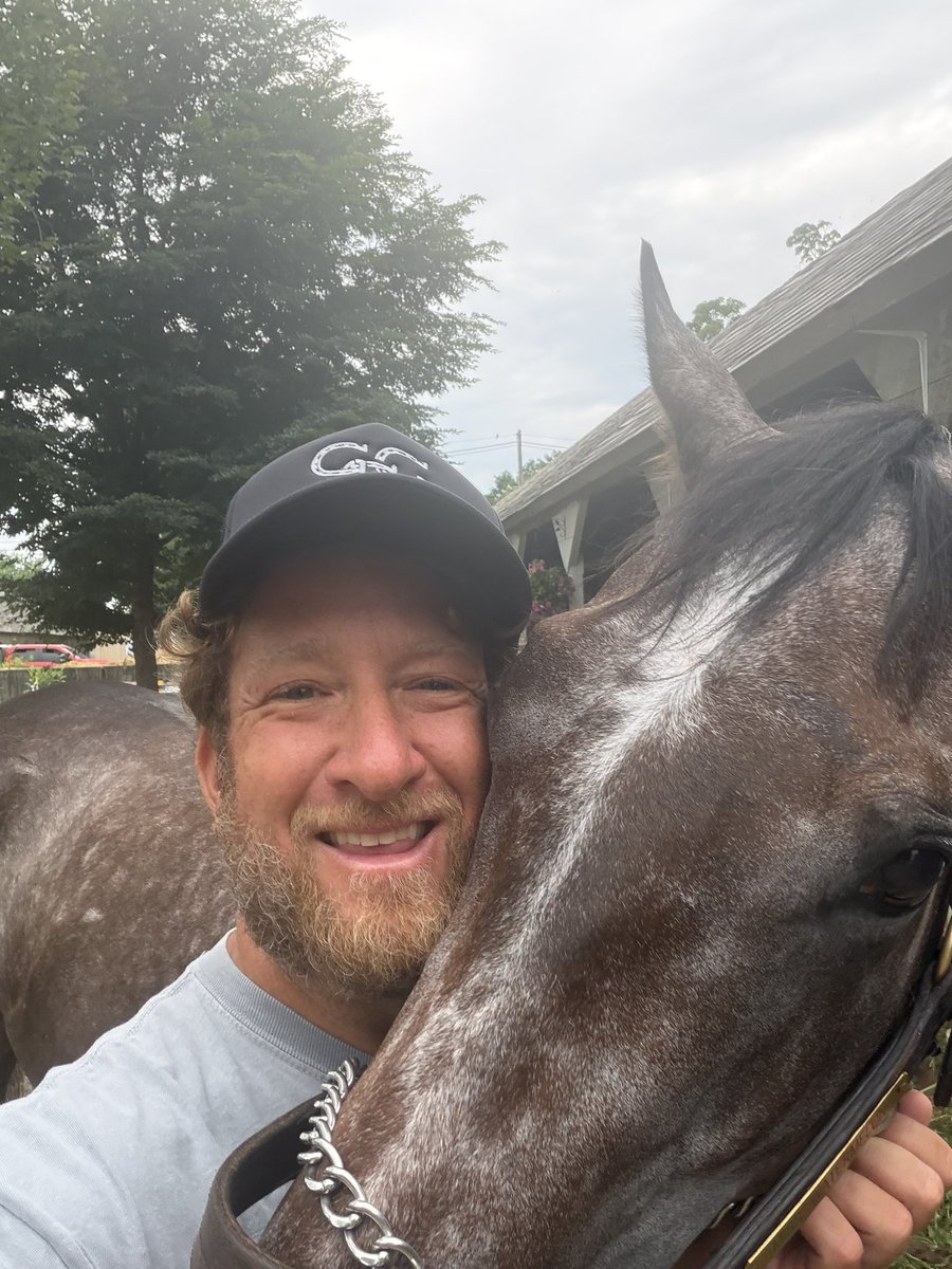 stoolpresidente's tweet photo. In other #GoGoGrey news Miss Watermelon, Drake Graye and Sir Alfred the Grey have all arrived ar #saratoga https://t.co/hrFoKYrBee