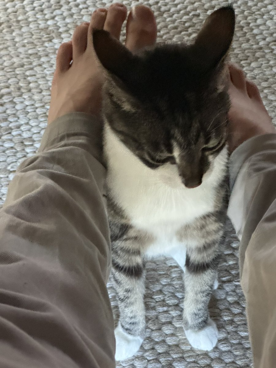 NaughtHourn's tweet photo. Who’s jealous? https://t.co/caPDlyYhsz