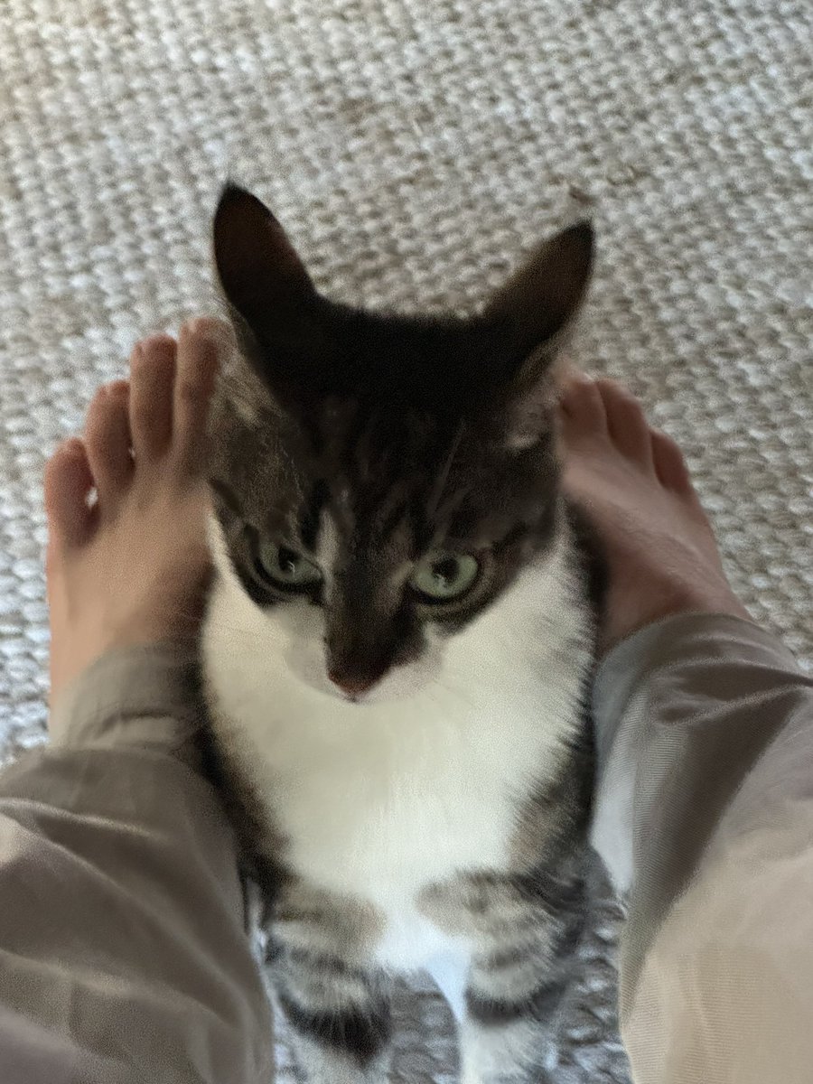 NaughtHourn's tweet photo. Who’s jealous? https://t.co/caPDlyYhsz