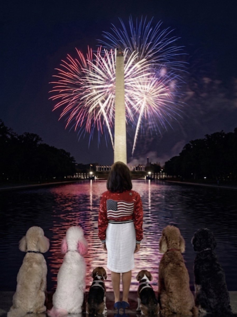 JudgeJeanine's tweet photo. In the greatest country on Earth, freedom is something worth celebrating—and never taking for granted. 🇺🇸 Stella, Ted, Red, Doodle, Snoopy, and Lucy are celebrating the Fourth together. For Snoopy and Lucy, recently rescued after spending their lives in cages, it’s one of their first chances to experience true freedom. Happy Independence Day! ❤️🤍💙