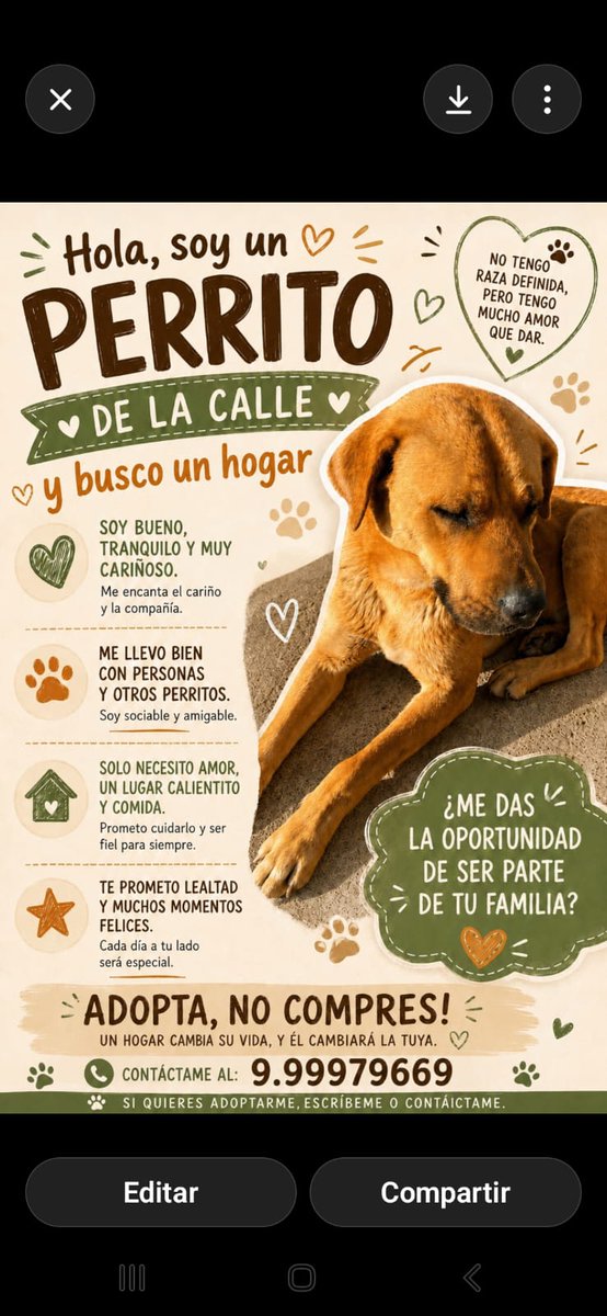 Fundacion_CIMA's tweet photo. Urgente 🆘 este amiguito necesita HT o #adopción 🙏 está afuera de un condominio en Chicauma, los residentes del lugar NO lo quieren😡 está amenazado de ser envenenado (ya ha pasado con otros perris) se llama Manjar x lo dulce y bueno que es. Quién puede
#Ayudar 🆘🙏 +56969079272 https://t.co/VMBfAJjEUp