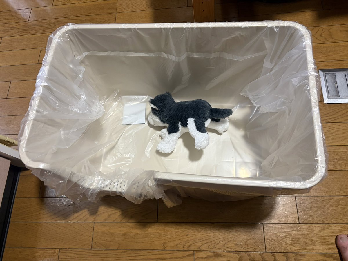 JE6QWD's tweet photo. 新しく買った猫のトイレがデカすぎて
猫のお風呂かと思った https://t.co/uNuXU6Nsgt