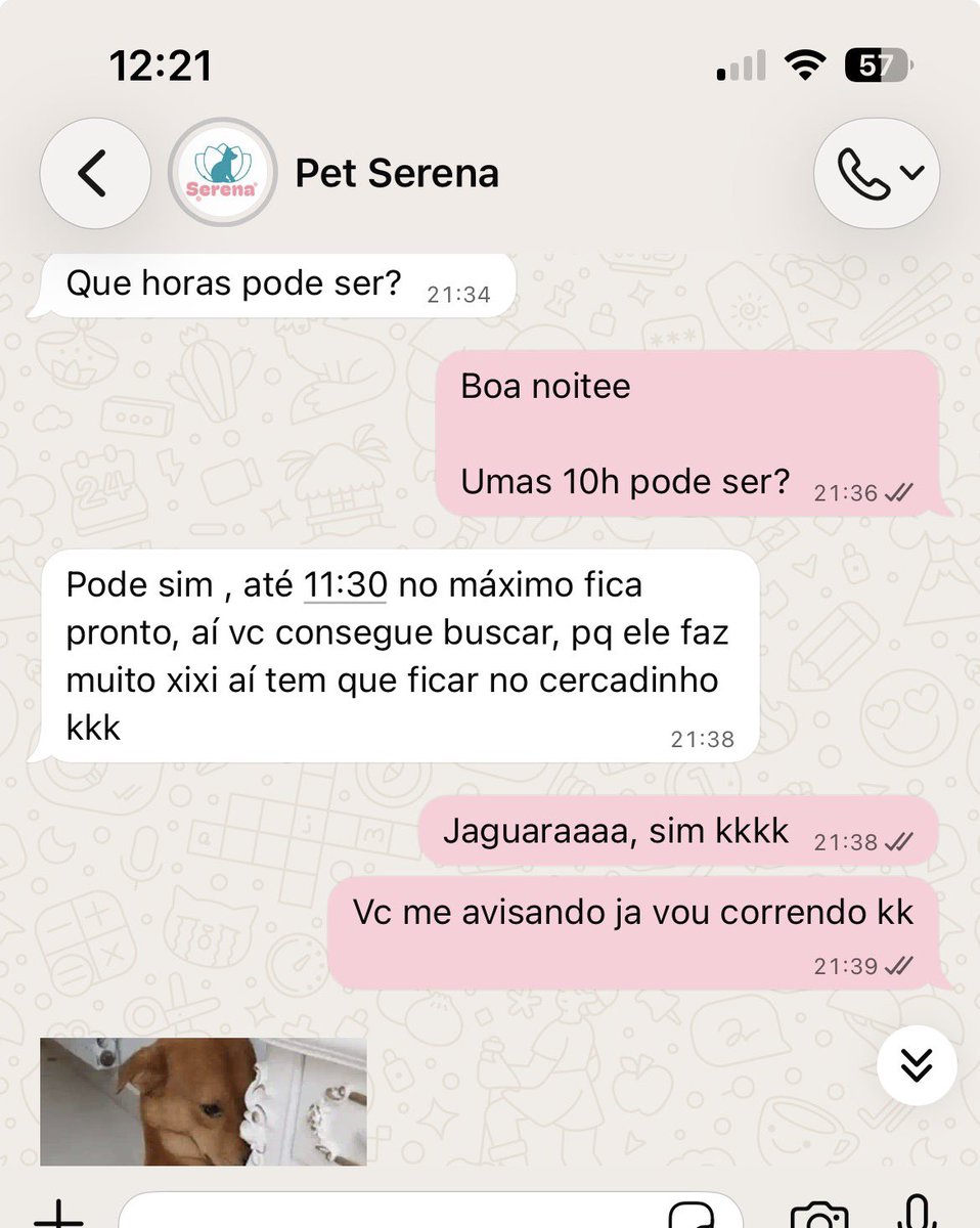 liisk4's tweet photo. A mensagem / o mijão 😂 https://t.co/6WAHTvfHXJ
