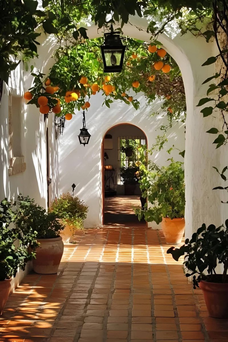 MozartCultures's tweet photo. “Where I’d Rather Be Right Now.” https://t.co/Gr2WCRju29