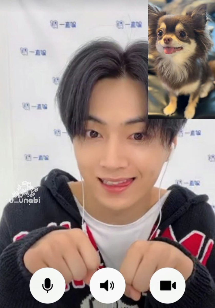 zzong_timil's tweet photo. 쫑와와 https://t.co/eCsHEldF41