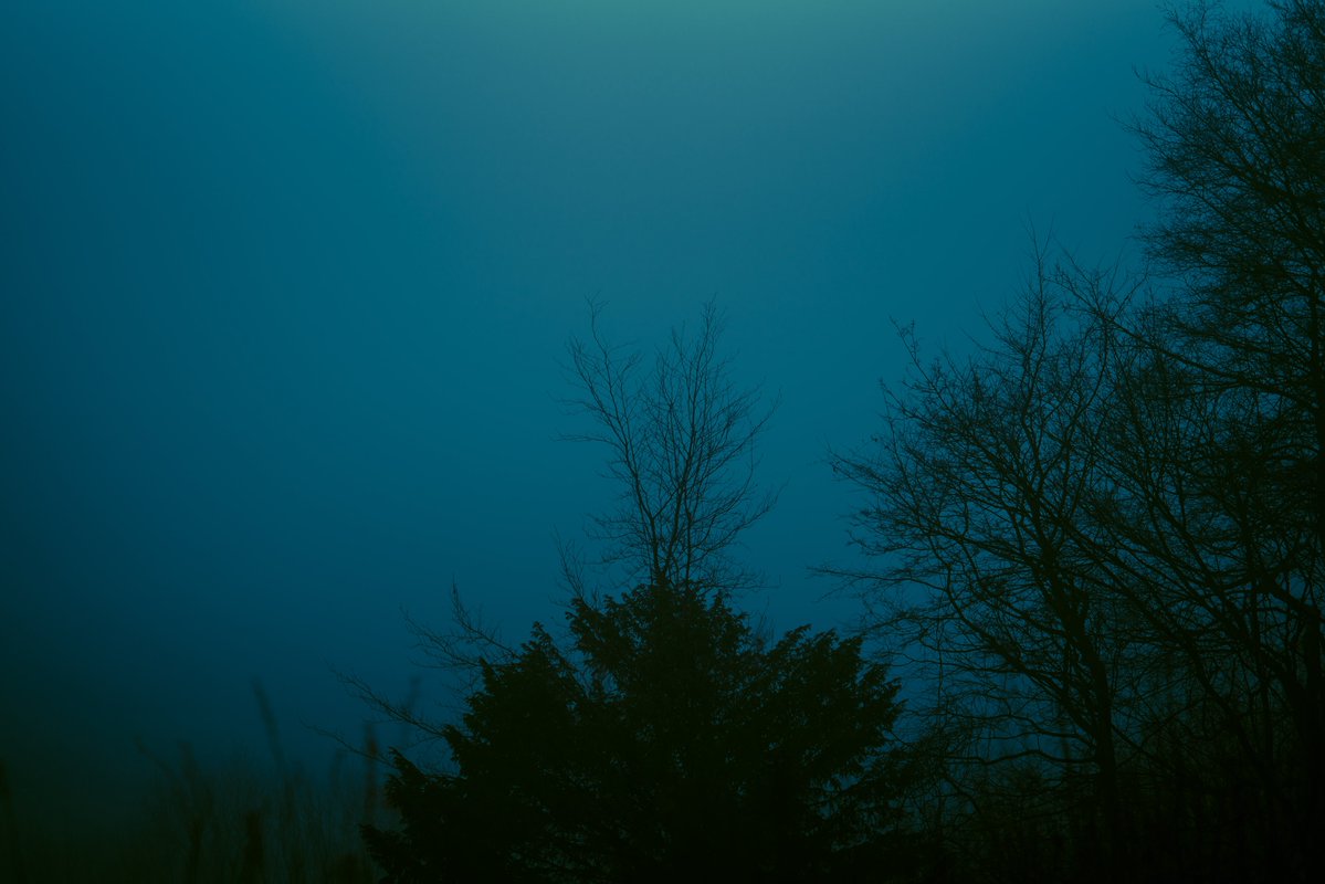zosphotos's tweet photo. Blue https://t.co/H4T92i09cs