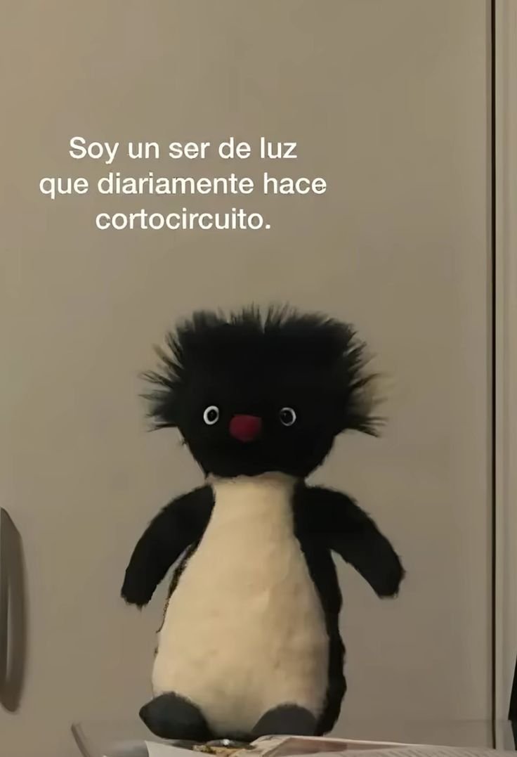 ItsHoshiLiz's tweet photo. https://t.co/CwU9vrzTye