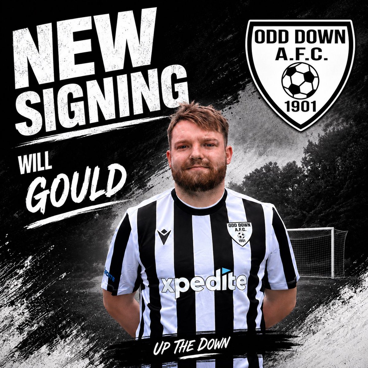 Odd_DownAFC's tweet photo. We are delighted to announce the signing of Will Gould. 

@swsportsnews https://t.co/wIFonvcsua