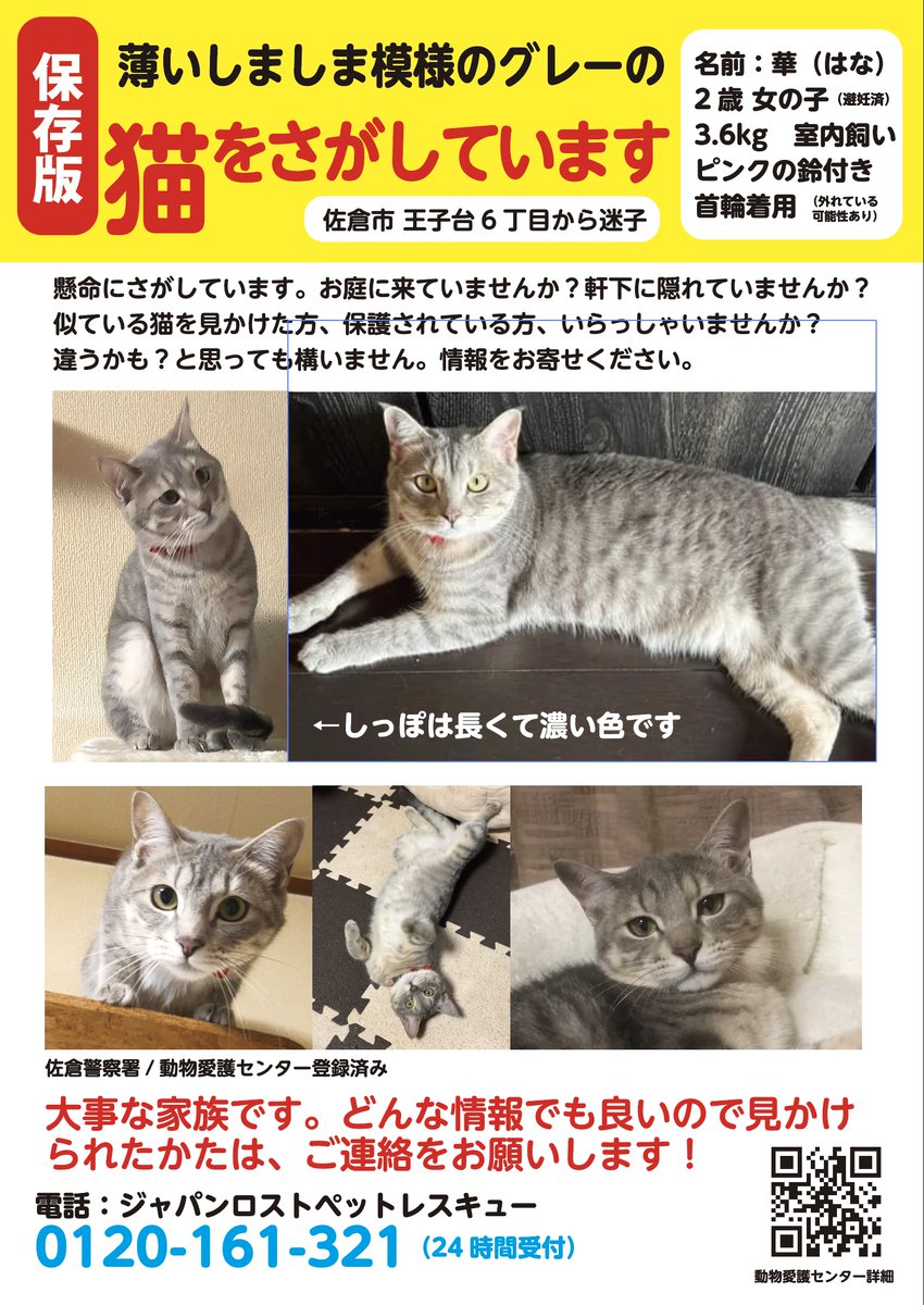 dieschwalzkatze's tweet photo. #佐倉市 #迷子 #猫 #迷子猫 #迷い猫

2件、ちょっと遠方から情報をいただいて飼い主さんと車で捜索にいきました。距離があったので、どうかなと思ったけど、どんな可能性も見落とさないようにしています。捜索範囲を拡げて､動物病院やスーパーにもご協力いただいてポスターを貼らせてもらいました。 https://t.co/tPSLu9f7ii